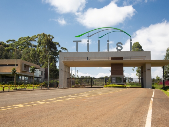 Tilisi gate