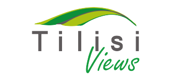 Tilisi Views logo